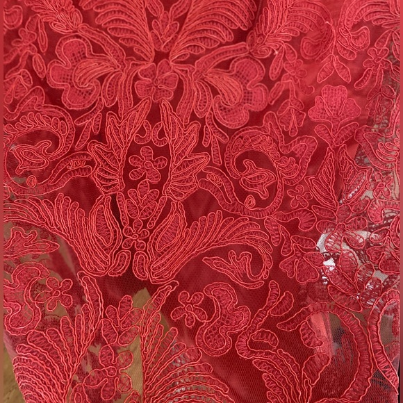 Tadashi Shoji Cherry Red Lace Sheath Dress - Picture 7 of 7